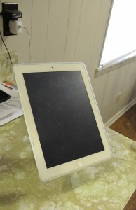 iPad mount