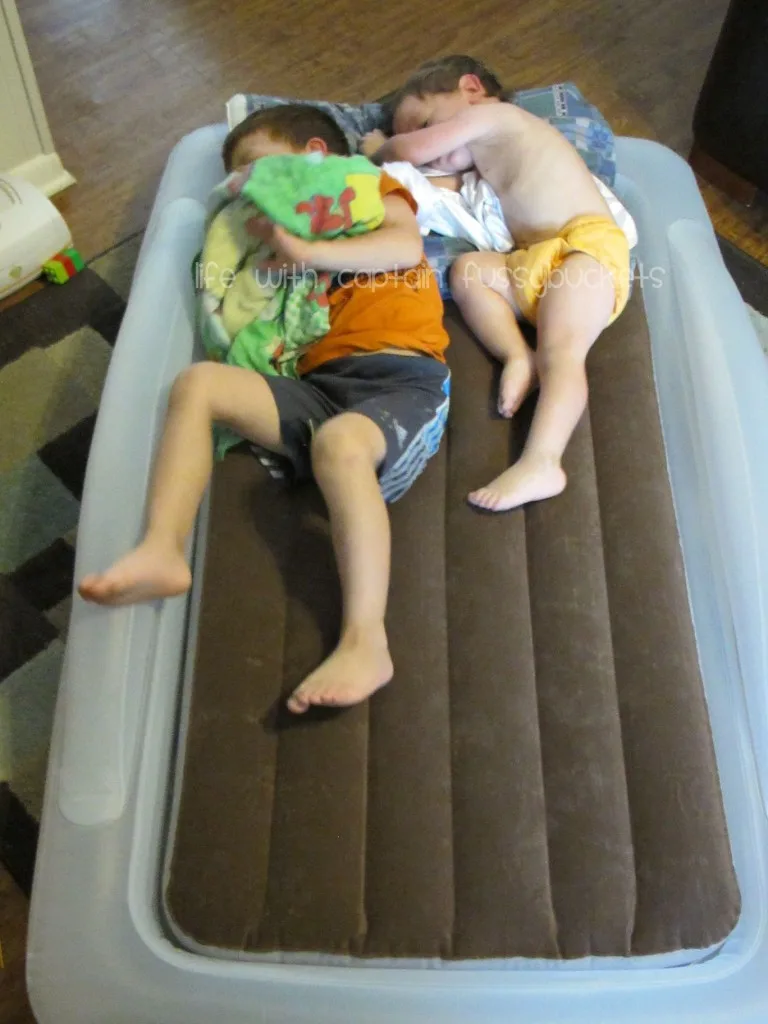 Shrunks toddler bed