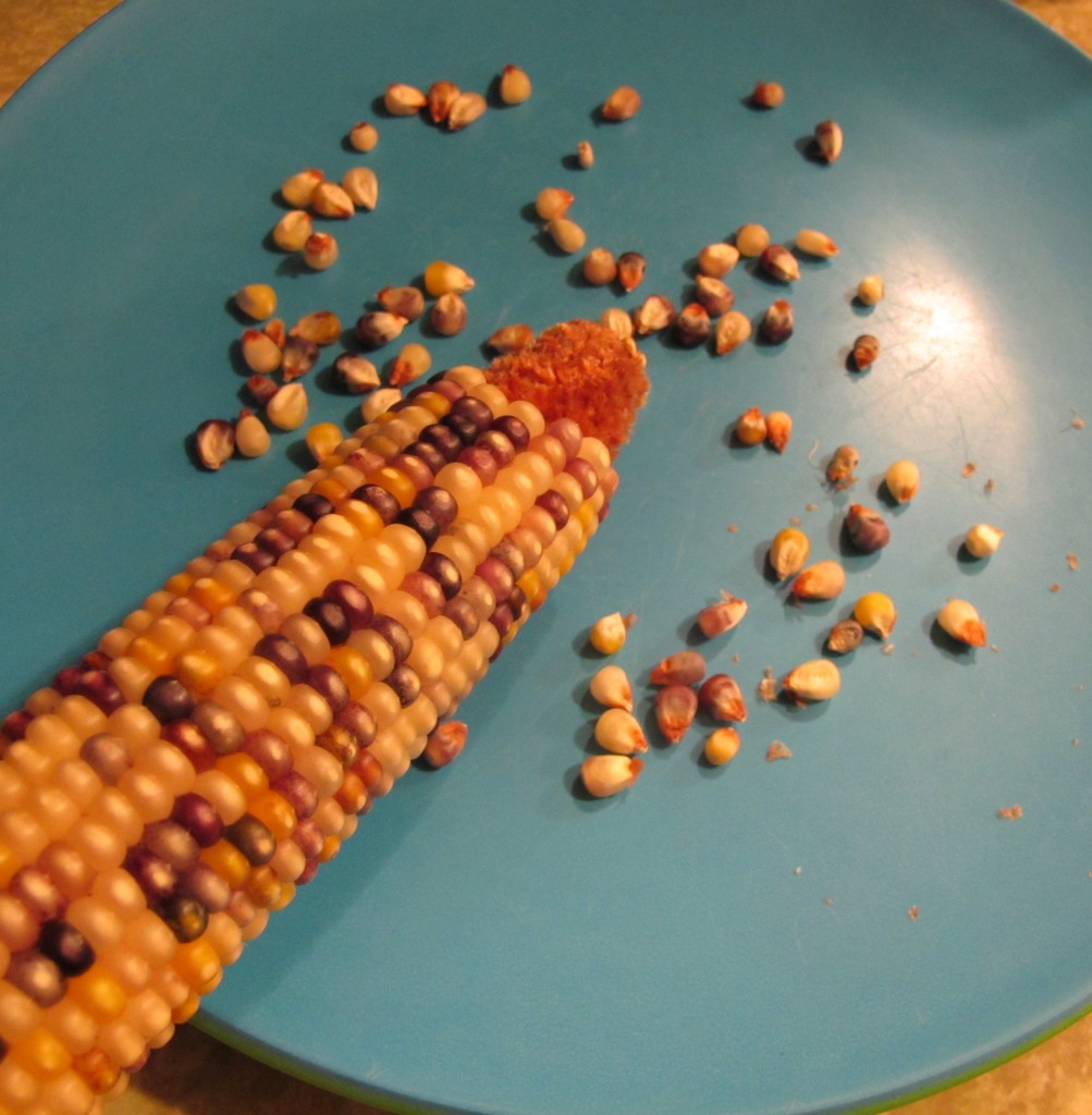 kernels