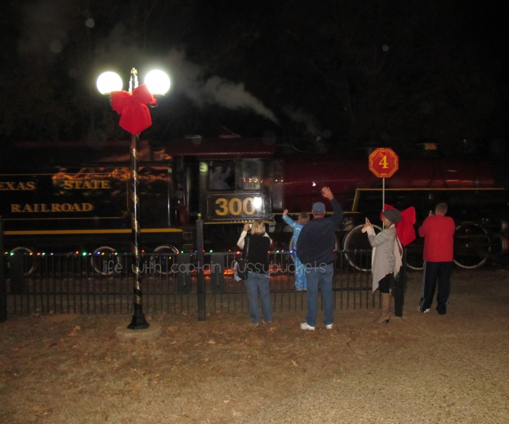 texas state railroad