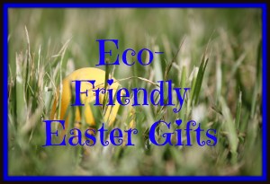 eco-friendly gifts