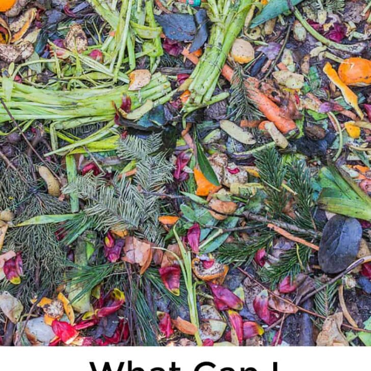 What Can I Compost?  Is Composting Hard?