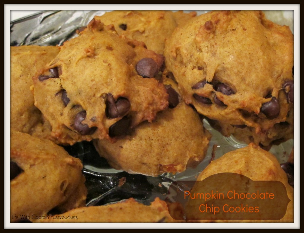 Pumpkin Chocolate Chip Cookies