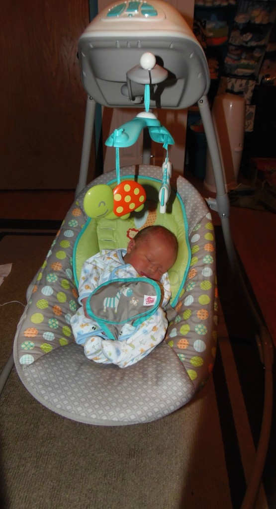 bright starts baby swing