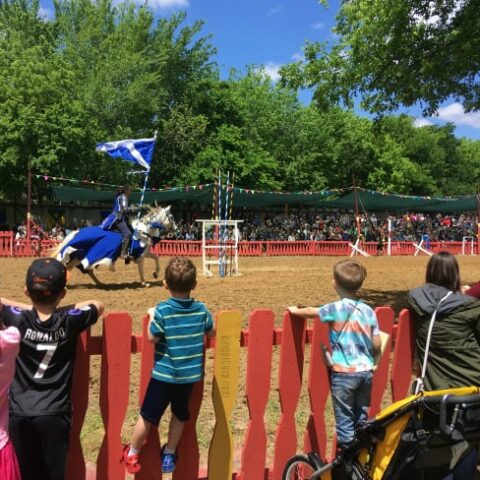 Our Family Fun Day at Scarborough Renaissance Festival in Waxahachie, Texas