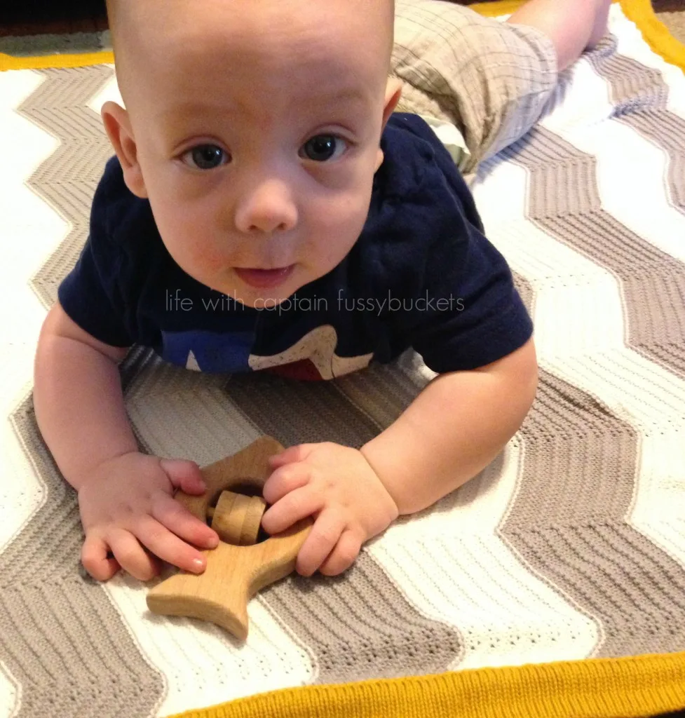 wooden fish toy