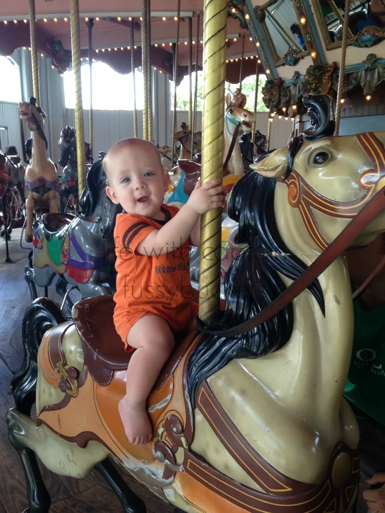 six flags carousel