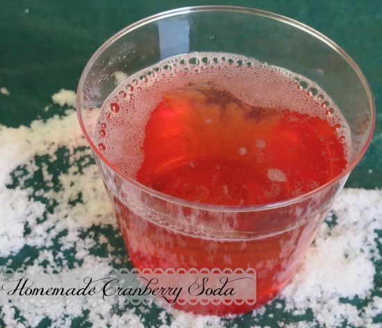 homemade cranberry soda