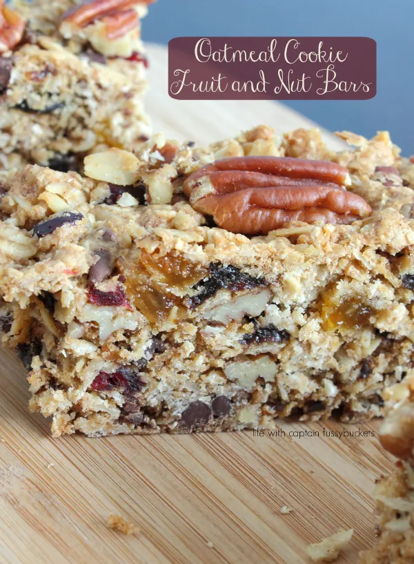 Oatmeal Cookie Fruit and Nut Bars