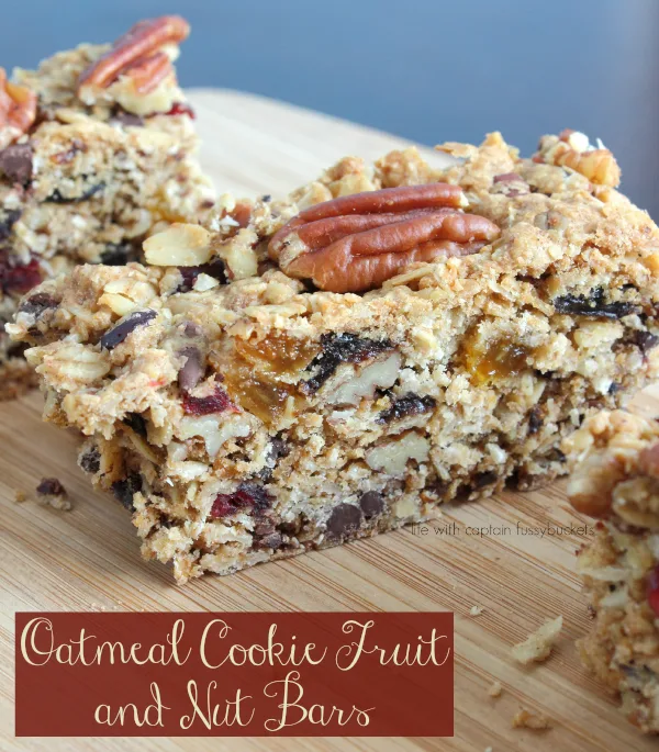 Oatmeal Cookie Fruit and Nut Bars