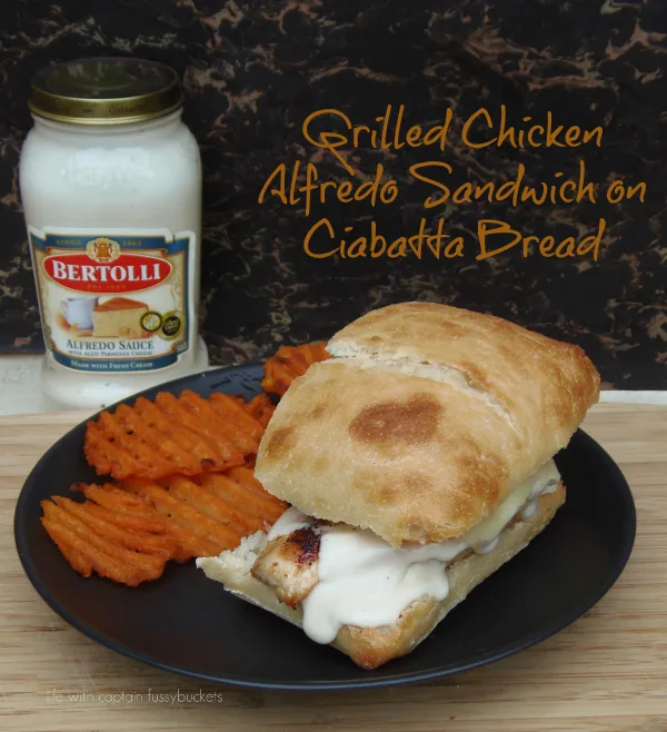 grilled chicken alfredo sandwich on ciabatta bread