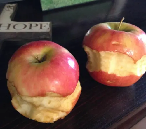 half eaten apples