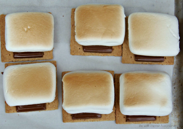 Easy 10 Minute Strawberry S'mores