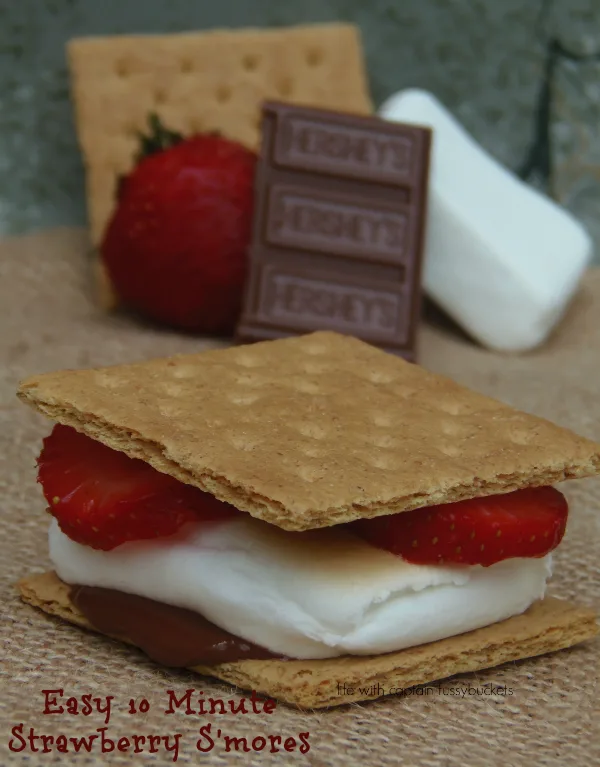 Easy 10 Minute Strawberry S'mores