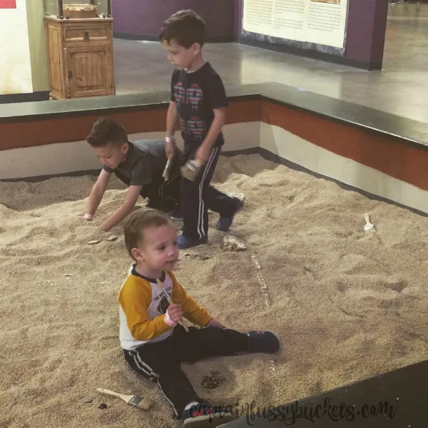 sci-tech-discovery-center-dino-dig