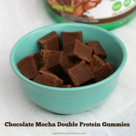 Chocolate Mocha Double Protein Gummies