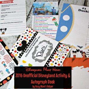 2016 Unofficial Disneyland Activity & Autograph book by BusyMomsHelper