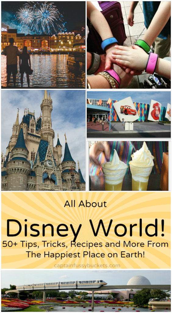 All About Disney World!