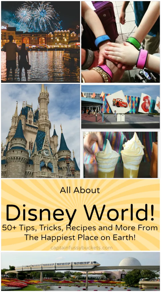 All About Disney World!