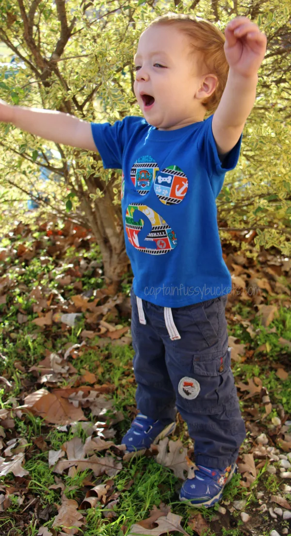 diy paw patrol shirt