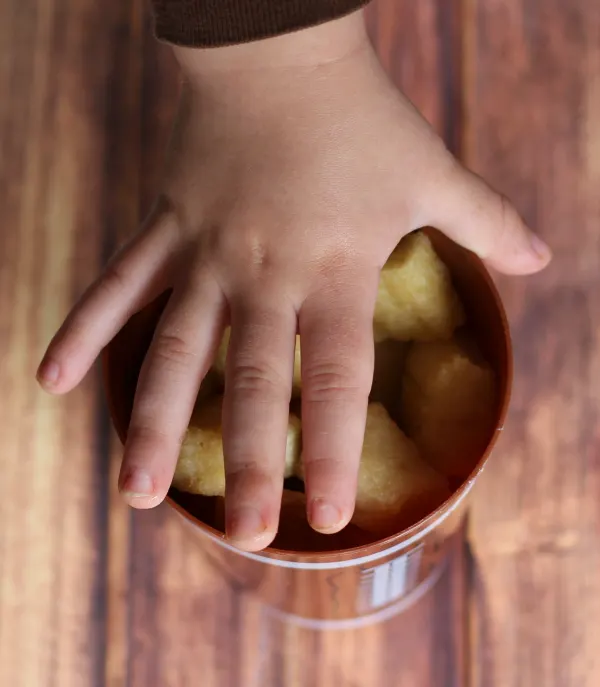 French Toast Stick Bites Kid