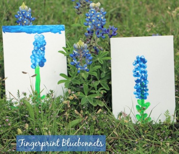 fingerprint bluebonnets