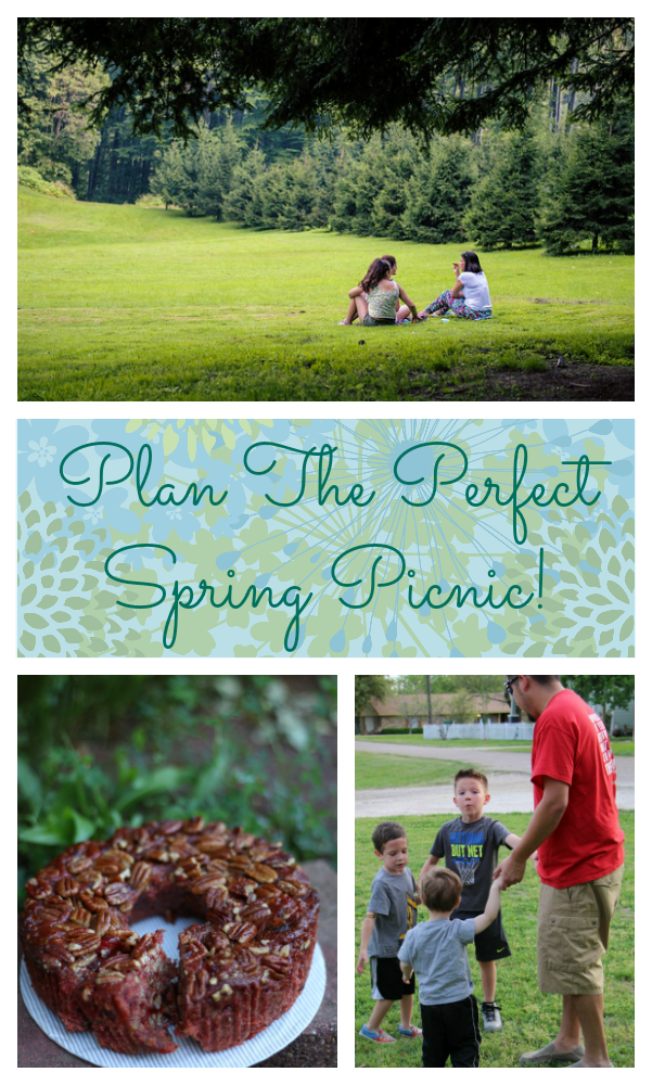 spring picnic collin street bakery AD