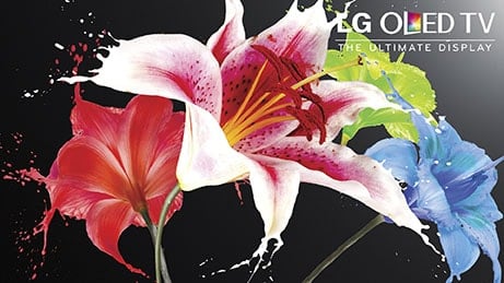 Shop Best Buy for the New LG OLED TV