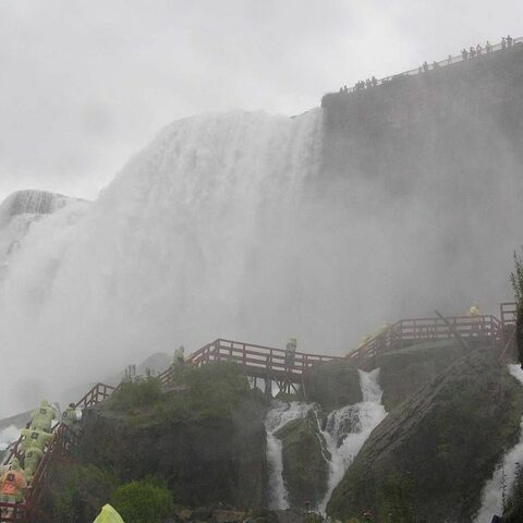 My Dream Vacations