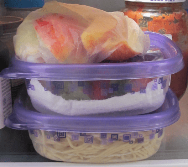 Reduce Food Waste For The Earth And Your Wallet {Free Food Storage Printables!}