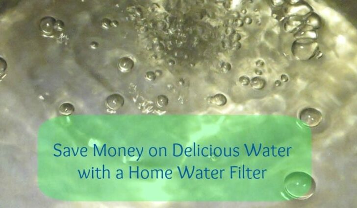 Save Money on Delicious Water with a Home Water Filter