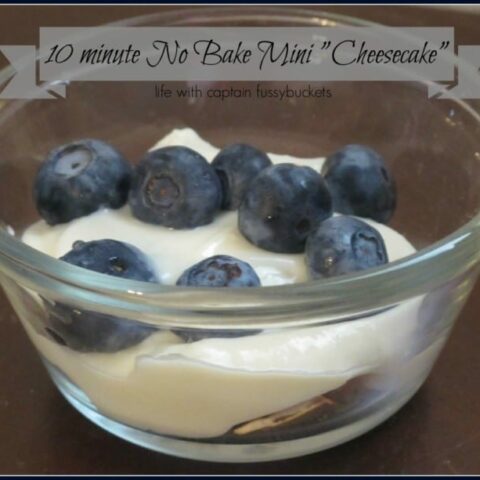 10 Minute, No Bake Mini Cheesecake – a Quick Snack to Satisfy your Sweet Tooth!