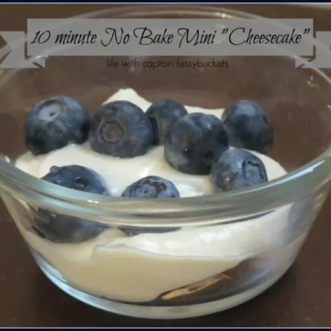 10 Minute, No Bake Mini Cheesecake