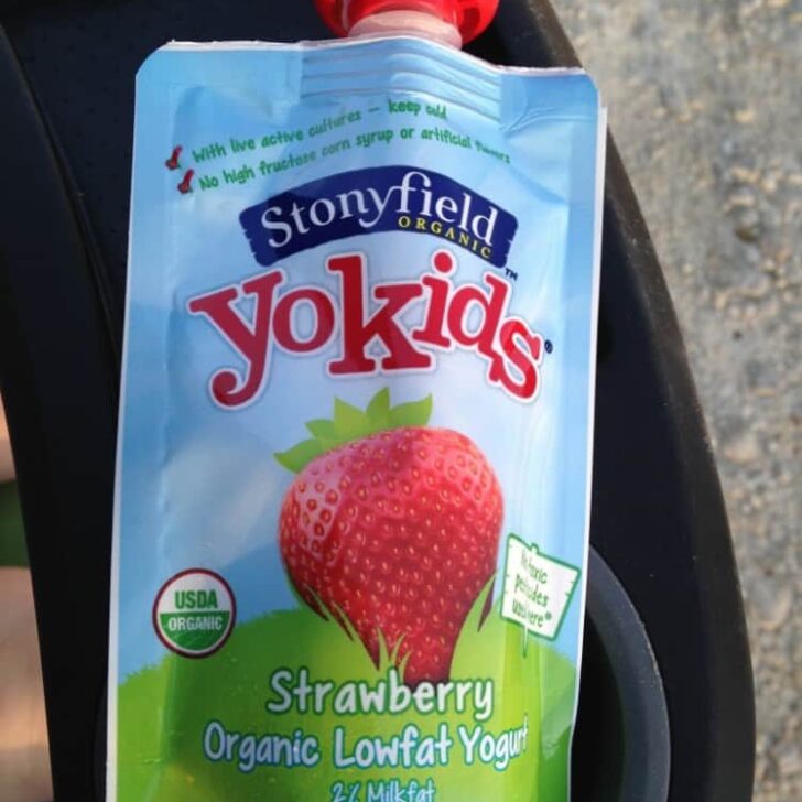 Yummy Ways to Add Protein to your Preschooler’s Diet
