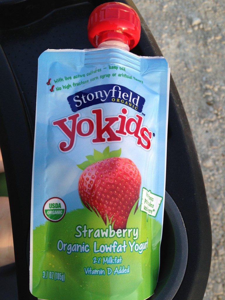 Yummy Ways to Add Protein to your Preschooler's Diet