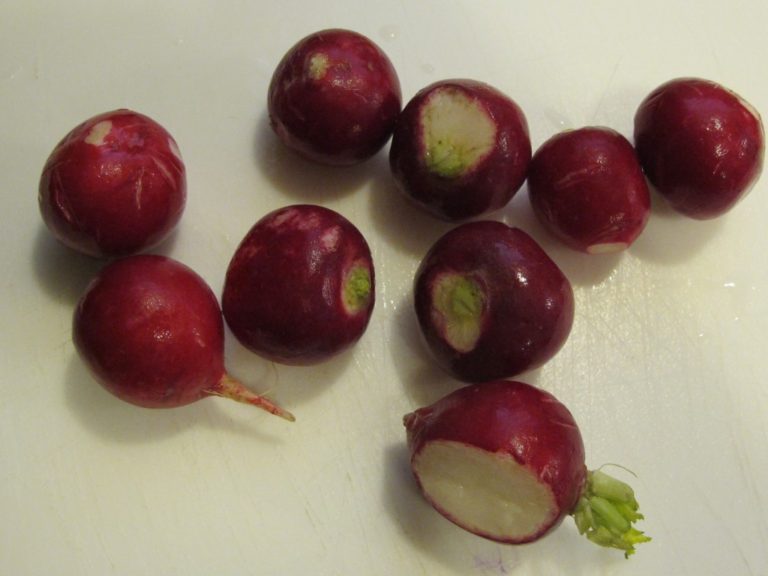 Two awesome recipes for tricky veggies!