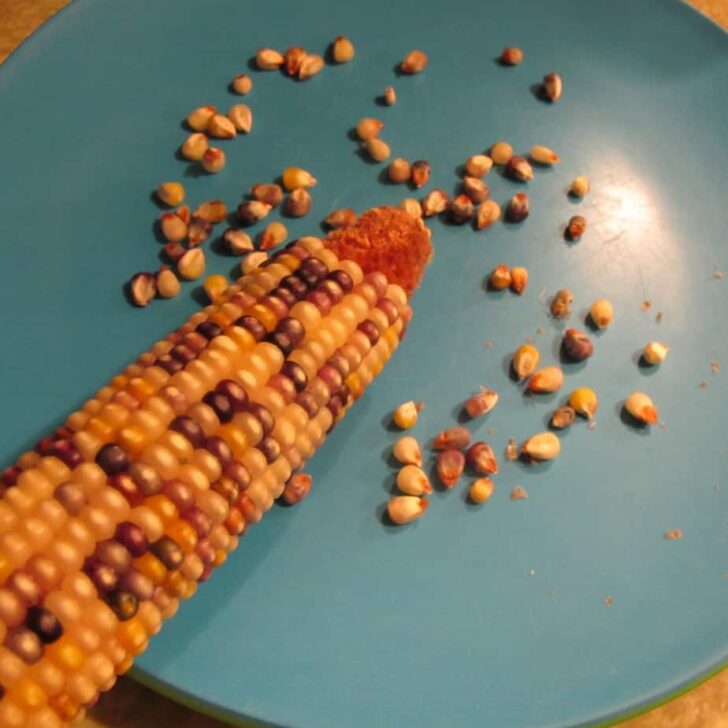 Cornbread Made With Indian Corn