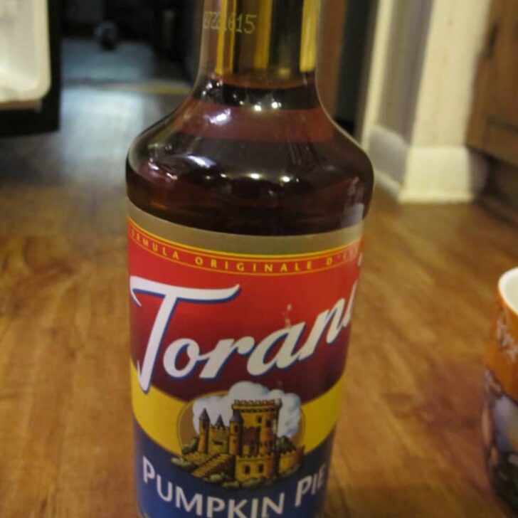 Chocolate Chip Pumpkin Bread with @Torani