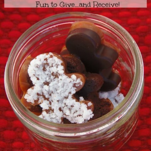 Save Money by Making Mini Layered Chocolates for Christmas Gifts!