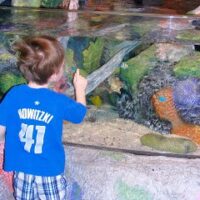 Trip To Sealife Aquarium!