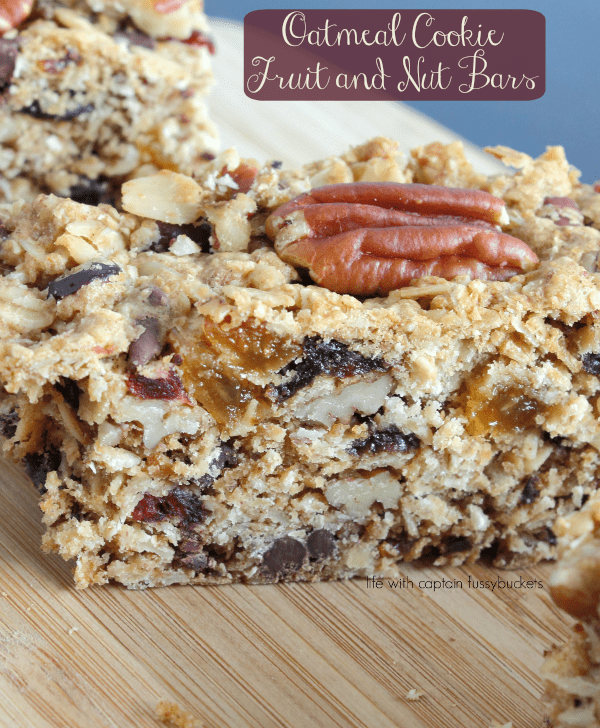 Chocolate Oatmeal Cookie Fruit and Nut Bars