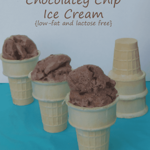 Chocolatey Chip Ice Cream {low-fat, lactose free ice cream recipe}