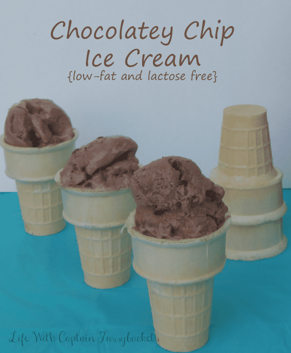 Chocolatey Chip Ice Cream {low-fat, lactose free ice cream recipe}