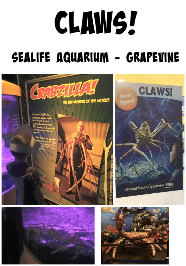 See What’s New at SEA LIFE Aquarium – Grapevine – CLAWS!