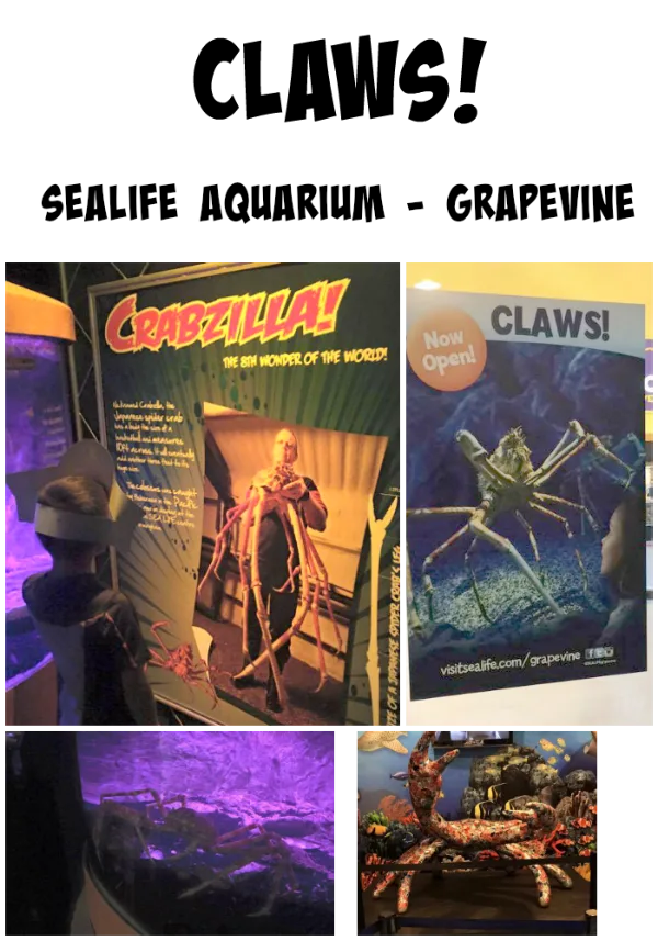 SEA LIFE aquarium claws collage