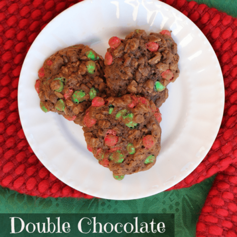 Double Chocolate Oatmeal Cookie Recipe and Picture Ornament Craft for Kids