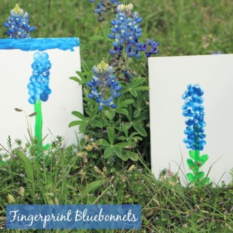 Fingerprint Bluebonnet Craft for Kids