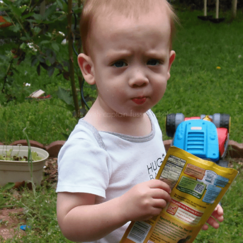 Nobody Is Happy if The Toddler is Hungry