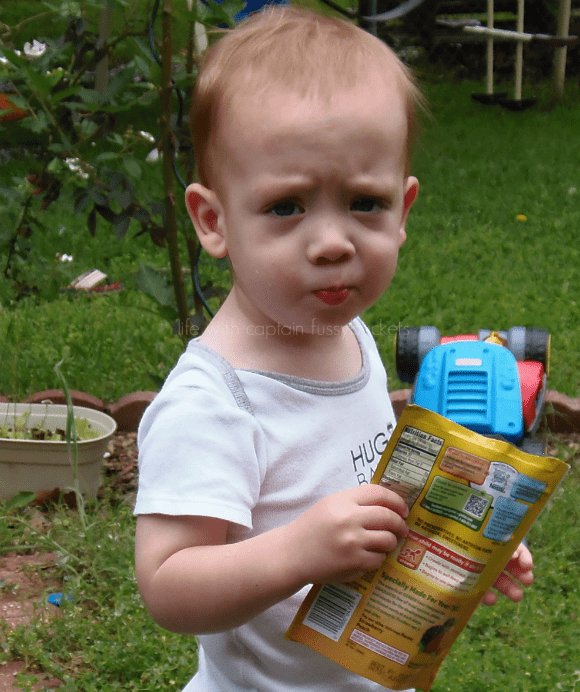 Nobody Is Happy if The Toddler is Hungry