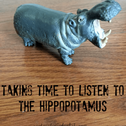 Taking Time to Listen To The Hippopotamus